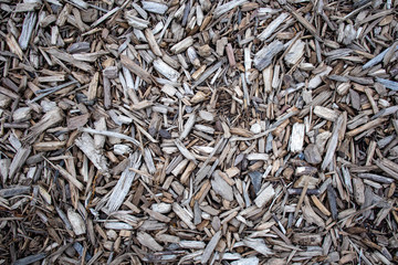 Gray wood chip mulch abstract background texture