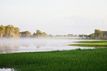 Morgennebel über Kakadu National Park © Peter