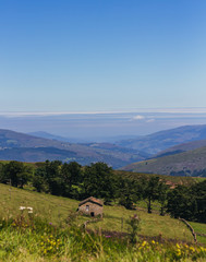 Obraz premium Paisajes de arboles y cielo azul en Cantabria, España
