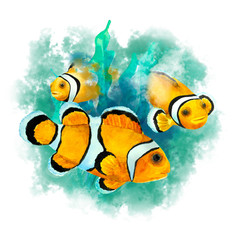 Tropical reef fish Clownfish (Amphiprion ocellaris) on a abstract green background, isolated. Hand drawn watercolor.