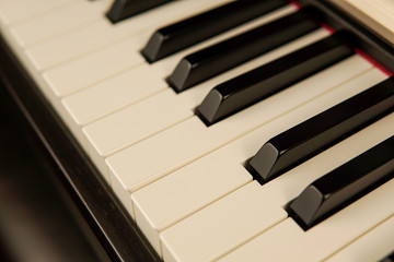 Close-up of piano keyboard