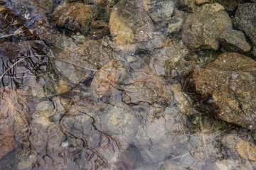 Stones at the bottom of a mountain river with clear water. Creative vintage background.