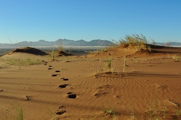 Sossusvlei dunes