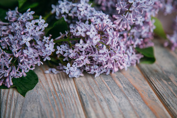The beautiful lilac flowers on a wooden background