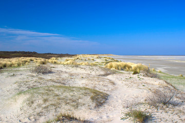 the dunes, Renesse, Zeeland, the Netherlands
