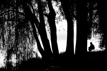 Fisherman silhouette. Man sits between trees. Black white photo - Powered by Adobe