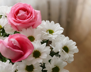 a bouquet of two roses and white daisies with water drops. selective focus