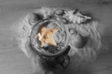 Closeup of composition of exotic seashells and starfish on sand