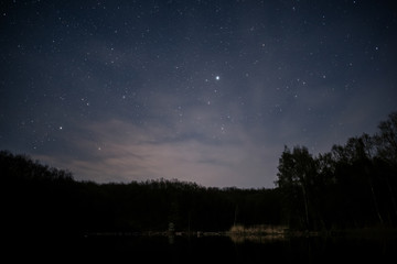 Starry night and pond with trees near it
