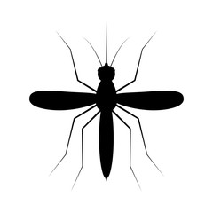 Mosquito silhouette on white background. Isolated vector insect symbol.