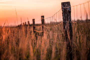 Fence on a grass meadow in a sunset light