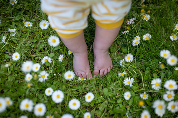 Authentic close up shot of newborn baby bare feet while taking first steps on a countryside green...