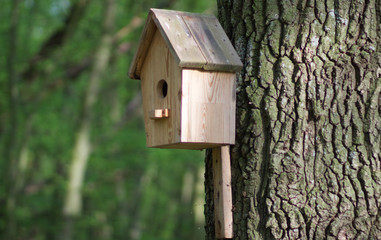 A bird feeder in the form of a house with a wooden roof hangs on a tree. Bird care. Wooden house...
