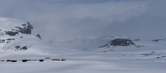 Góry Skandynawskie pokryte śniegiem w regionie Hemsedal w Norwegii 