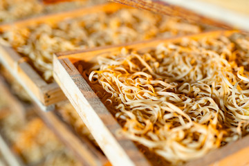 Pasta. Dry uncooked macaroni. Agriculture and food industry. Raw macaroni closeup.