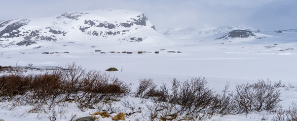 Góry Skandynawskie pokryte śniegiem w regionie Hemsedal w Norwegii  - obrazy, fototapety, plakaty