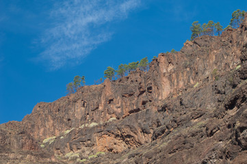 Fototapeta na wymiar Cliff in The Nublo Rural Park. Mogan. Gran Canaria. Canary Islands. Spain.