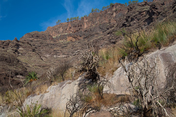 Cliff in The Nublo Rural Park. Mogan. Gran Canaria. Canary Islands. Spain.