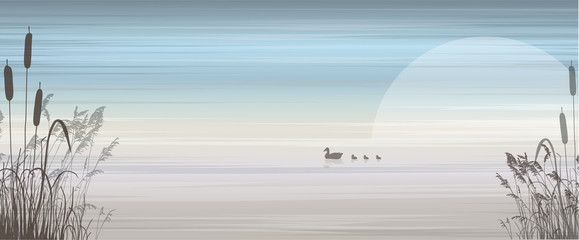 View on lake with landscape, reeds in the foreground and a duck on the water.Vector illustration.