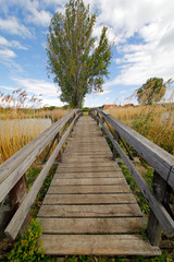 Fototapeta na wymiar Eine kleine Holzbrücke über einen Teich