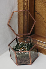 Alianzas de boda, anillos de novios