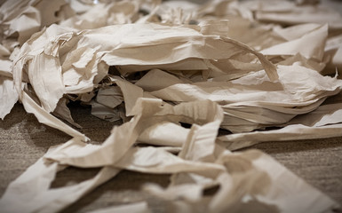 A roll of toilet paper is torn to pieces. Pieces of paper are wrinkled. Pastel image. Stylized antique. Soft focus