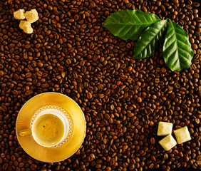 Roasted coffee beans background white cup on golden saucer with foamy espresso, top view. On beans fresh green coffee leaves, brown sugar cubes, slices of chocolate.