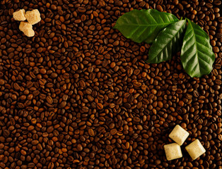 Roasted coffee  beans background with three fresh green coffee leaves, two brown sugar cubes on the top left corner and slices of chocolate on the lower right corner, top view. Flat lay.