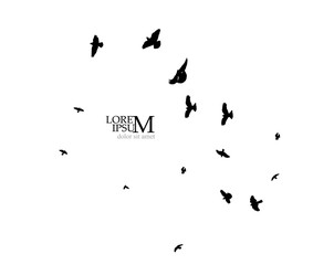 A flock of flying birds silhouette. Vector illustration