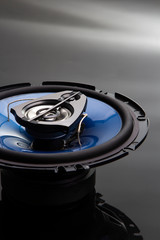 three-way speaker system, coaxial speaker, car audio music, subwoofer. Top view