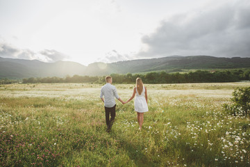 lovers in a chamomile field against the background of mountains