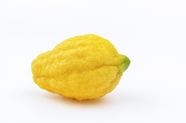 One whole yellow sicilian lemon known as Piretto isolated on white background