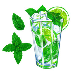 Mojito cocktail with mint leaves and lime on a white bakground. Summer hand-drawn illustration.