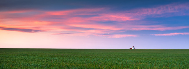 panorama of farm landscape with little house on horizon and sunset sky with pink clouds and green wheat field with copy space big size