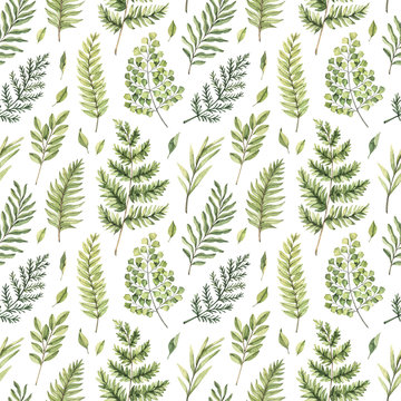 Greenery watercolor seamless pattern. Botanical background with green branches, leaves and fern illustrations. Floral Design. Perfect for invitations, wrapping paper, textile, fabric, poster, packing