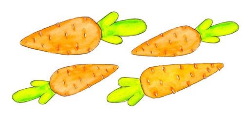 Watercolor illustration. Set of four orange carrots on a white background.