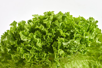 Lettuce salad isolated on a white background, top view. Close-up