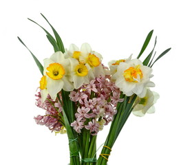 Spring bouquet of flowers isolated on white background. Blue Hyacinth flower bouquet, Hyacinthus orientalis and Yellow daffodil.