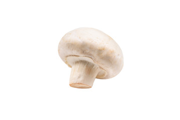 Champignon mushroom isolated on white background.