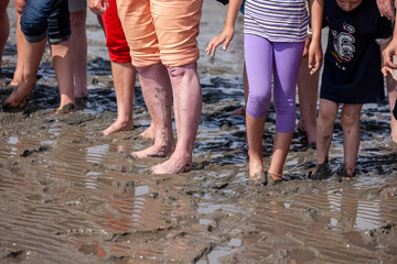 Wattwanderung vor Büsum