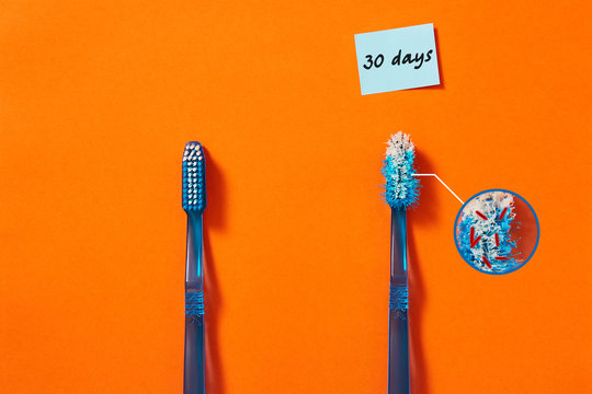 Two blue toothbrushes on an orange colorful background. used toothbrush and new toothbrush concept. Educational concept. Image of bacteria on an old toothbrush