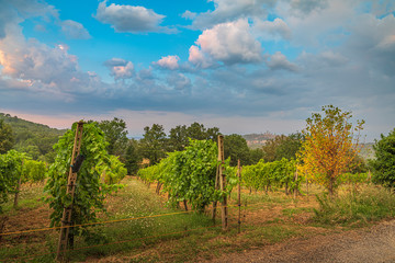 Beautiful summer sunset after rain near San Gimignano, Tuscany, Italy