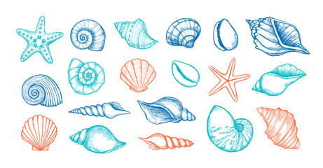 Hand drawn vector illustrations. Marine background with seashells. Collection of shell, sink and starfish. Perfect for invitations, fabric, textile, linens, posters, prints, banners