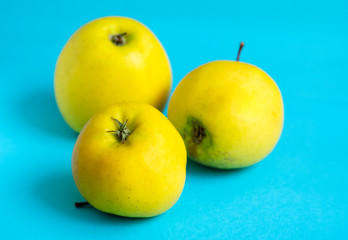 Three yellow fresh apples on a blue background.