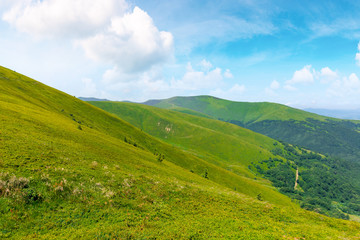 Fototapeta na wymiar alpine scenery of carpathian mountain ridge borzhava. stunning views on a windy summer day. clouds on the sky. popular travel destination of ukraine