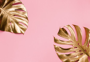 Two gold painted tropical monstera leaves on abstract pastel pink backgroud