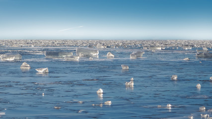Blocks of ice on frozen sea