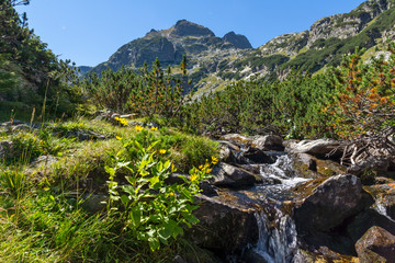 Naklejka na ściany i meble Landscape from hiking trail for Malyovitsa peak, Rila Mountain