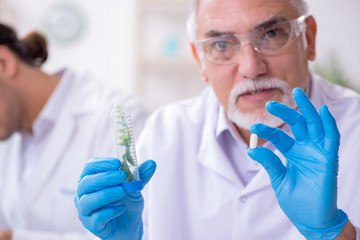 Two chemists working in the lab