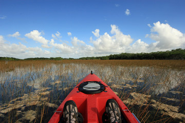 Kayaking amidst the red mangroves, reeds and periphyton of Nine Mile Pond in Everglades National Park on sunny October afternoon.